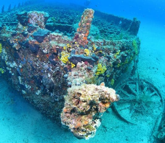 çanakkale savaşı batık
