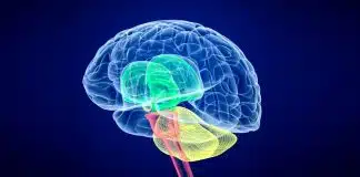 Serebral Palsi (beyin felci) nedir? İlerleyici bir hastalık mı? Serebral Palsi