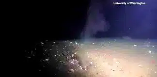 okyanus delik sızıntı