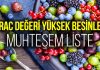 ORAC değeri yüksek olan antioksidan deposu besinler ORAC besinler
