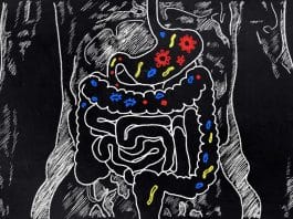 Bağırsak sağlığı