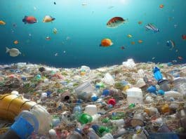 Plastik kullanımını