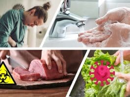 Besin zehirlenmesinde