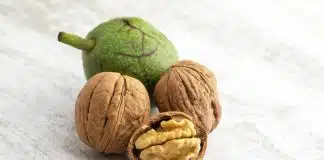 Lezzetli ve kaliteli ceviz nasıl anlaşılır? İşte 5 püf nokta! kaliteli cevizi