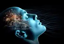 Neden her gece aynı saatte uyumalısınız? aynı saatte uyumalısınız