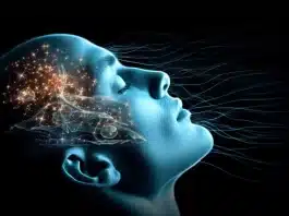 aynı saatte uyumalısınız