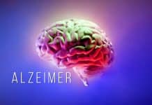 Alzheimer riskini