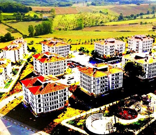 Hazine arazileri imara