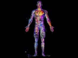 Yaşlanmayı yavaşlatmanın sırrı