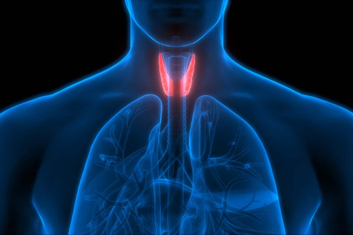 tiroid bezi hastalıkları