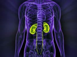 Böbrek iltihabının