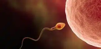 Bilim insanlarından çağrı: Embriyo yetiştirme süresi uzatılmalı embriyo yetiştirme süresi