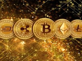 Kripto Nasıl Alınır
