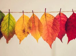 Mevsim geçişlerinde