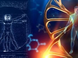 Uzun yaşamın sırrı