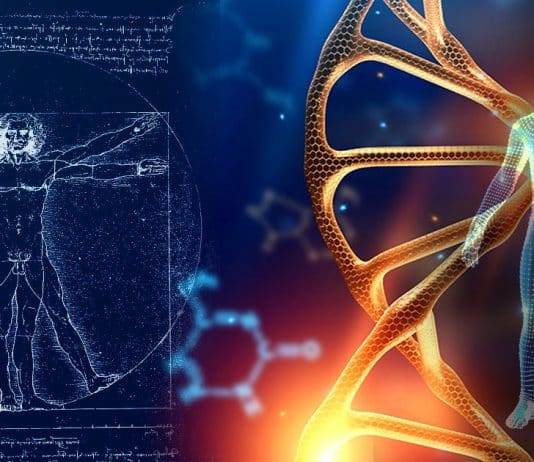 Uzun yaşamın sırrı