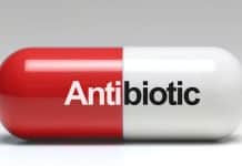antibiyotik zararları