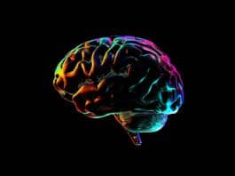 Beyni vücuttan ayrıyken