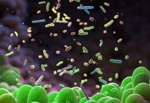 Vücudunuzdaki dost bakterileri artırmanın 4 yolu! dost bakterileri