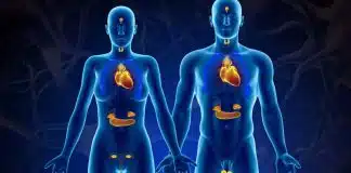 Hormonal dengenizi nasıl koruyabilirsiniz? Hormonal