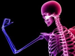 kemik kaybını önlemek