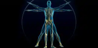 Osteoporoz (kemik erimesi) riskini azaltacak 7 önlem nedir? Osteoporoz