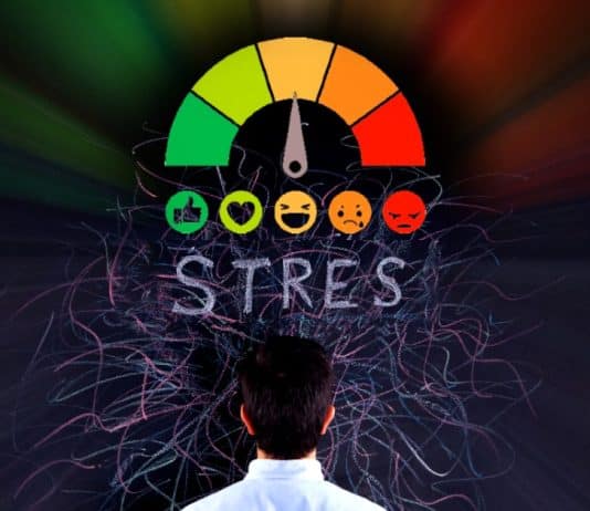stres seviyesi