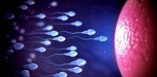 kısır kısırlık infertilite