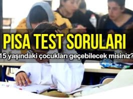 PISA testi soruları