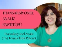 transaksiyonel analiz