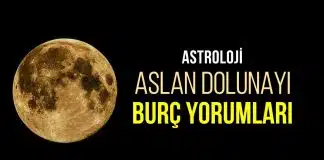 Dolunay burç yorumları