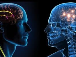 Beyin pili ameliyatı