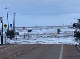 Japonya depremi Tsunami