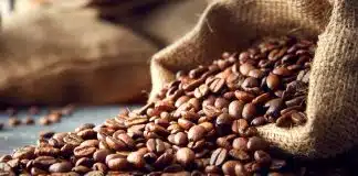 Endüstriyel Tip Kahve Kavurma Makinası Nasıl Seçilir? Kahve Kavurma Makinası