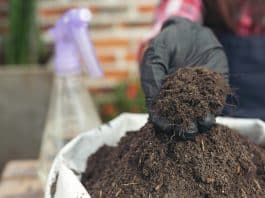 Ev Tipi Kompost Makineleri