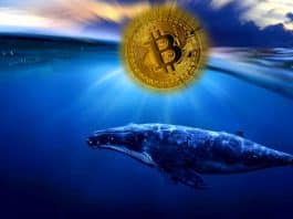 Bitcoin en çok