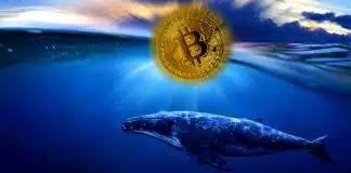 Bitcoin balinaları: En çok kimlerin elinde var? Bitcoin en çok