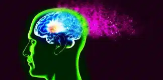 Beyin için beslenme: Alzheimer ve Parkinson riskini azaltıyor! Alzheimer Parkinson besinler