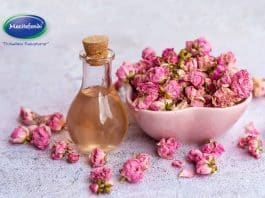 macitefendi fason bitkisel