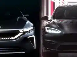 tesla togg satışları