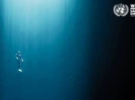 dünya okyanus günü