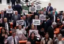 Sokak hayvanları düzenlemesi Meclis’ten geçti: Muhalefet milletvekillerinin oylamaya katılmaması dikkat çekti Sokak hayvanları düzenlemesi