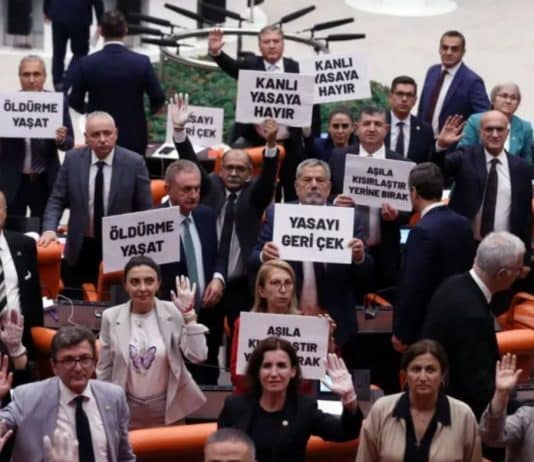 Sokak hayvanları düzenlemesi