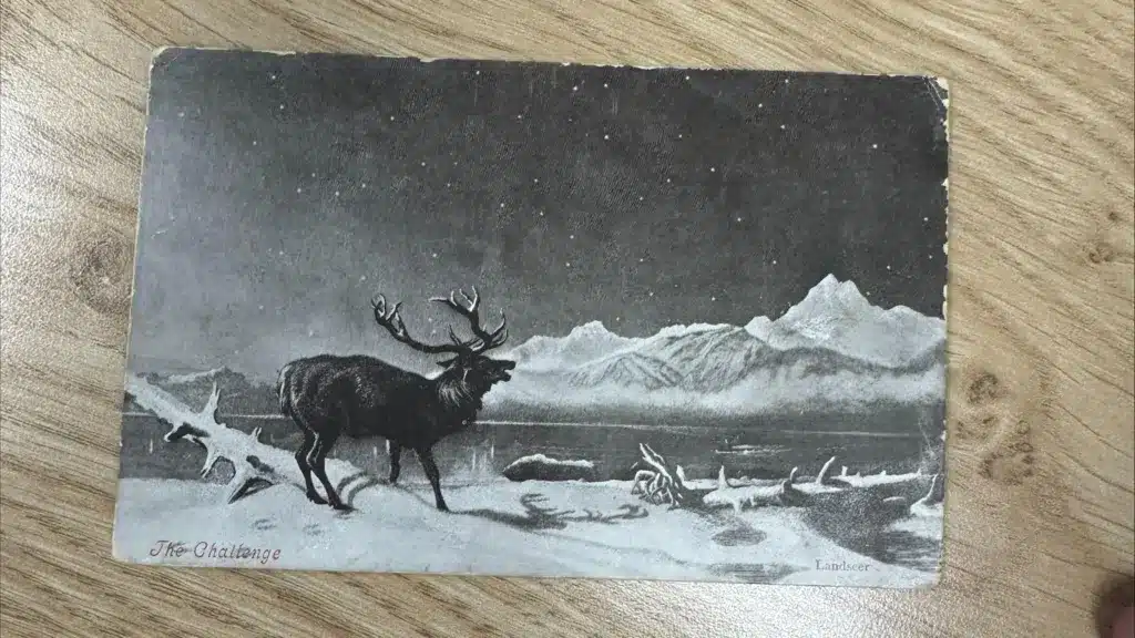 xmas 1903 postcard