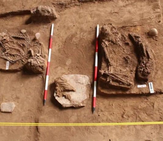 malezya'da insan iskeletleri