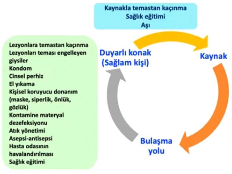 maymun çiçeği bulaş