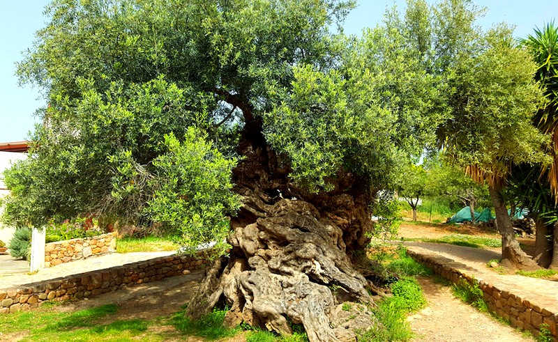 girit adası