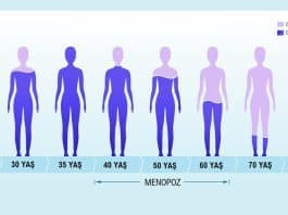 menopoz östrojen seviyesi