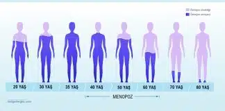 Menopozu rahat atlatmanın 5 püf noktası! menopoz östrojen seviyesi