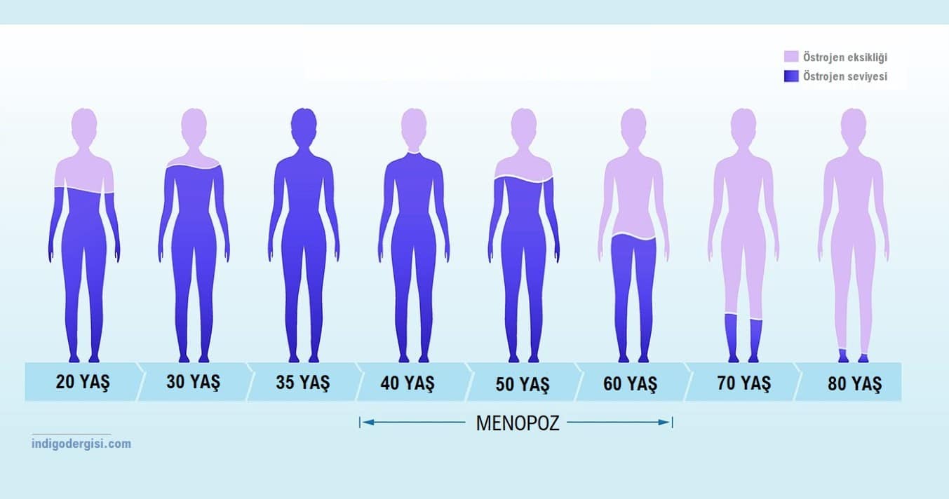 menopoz östrojen seviyesi